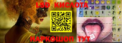 СК Новозыбков