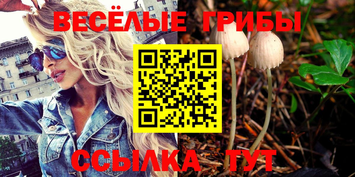 Псилоцибиновые грибы Psilocybine cubensis  Вход с VPN  Ступино 